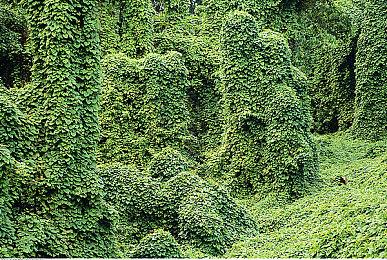 《夜幕降临前》7月14日上线Steam 支持简中