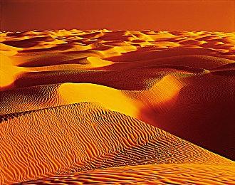 英伟达CEO黄仁勋：有华为在 美国就“搞不定”