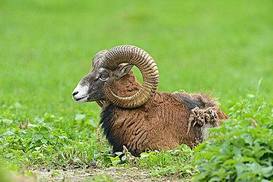 TGS 2024吸引27.4万人到场 TGS 2025 9月登场